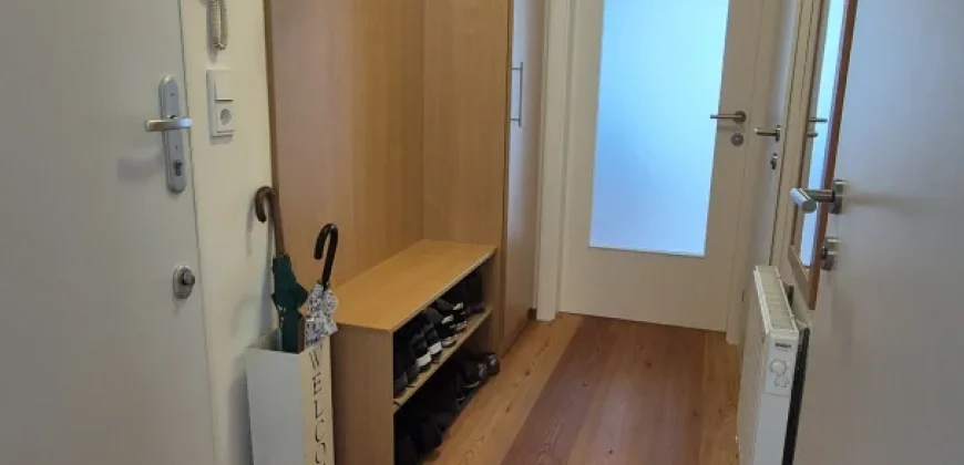 Holiday apartment at Wolfgangsee overlooking Lake