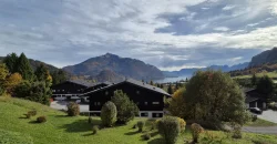 Holiday apartment at Wolfgangsee overlooking Lake