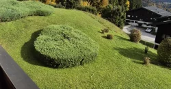 Holiday apartment at Wolfgangsee overlooking Lake