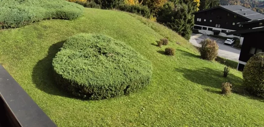 Holiday apartment at Wolfgangsee overlooking Lake