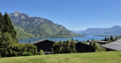 Holiday apartment at Lake Wolfangsee
